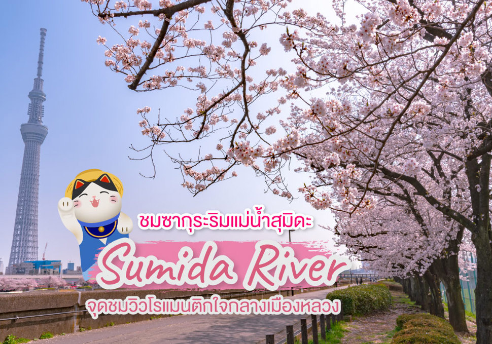 Sumida Rver ชมซากุระริมแม่น้ำสุมิดะ Sumida River จุดชมวิวโรแมนติกโตเกียว | บริษัท ...